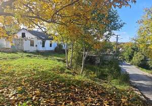 Дом 41м², 1-этажный, участок 15 сот.