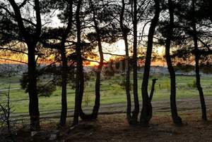 Дом 28м², 1-этажный, участок 8 сот.