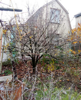 Дом 42м², 3-этажный, участок 4 сот.