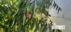 Дом 93м², 2-этажный, участок 8 сот.