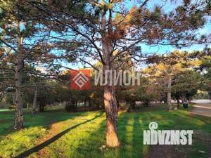 Дом 95м², 1-этажный, участок 5 сот.