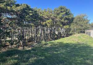 Дача 120м², 3-этажный, участок 12 сот.