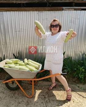 Дом 60м², 1-этажный, участок 4 сот.