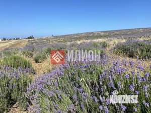 Дом 95м², 1-этажный, участок 17 сот.