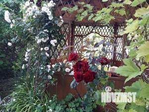 Дом 108м², 2-этажный, посуточно, 