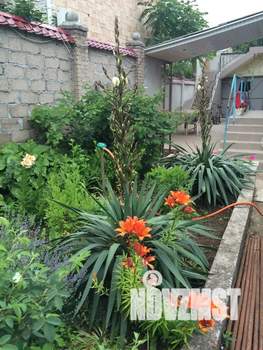 Дом 35м&sup2;, 2-этажный, посуточно, 