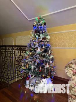 Дом 175м&sup2;, 2-этажный, посуточно, 