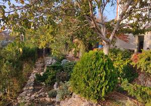 Дом 250м², 3-этажный, на длительный срок, 