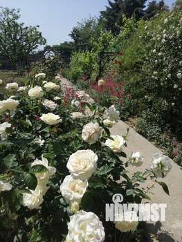 Дом 122м&sup2;, 2-этажный, на длительный срок, 