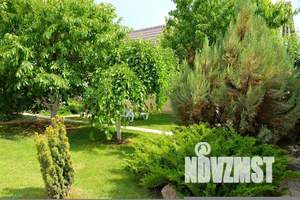 Дом 10м², 1-этажный, посуточно, 