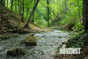 Дом 65м², 1-этажный, посуточно, 