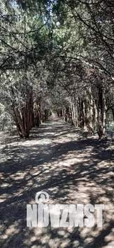 Дом 90м&sup2;, 1-этажный, посуточно, 