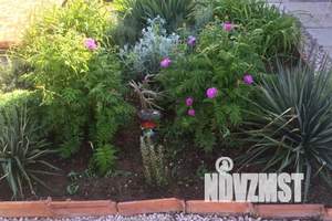 Дом 37м², 1-этажный, посуточно, 