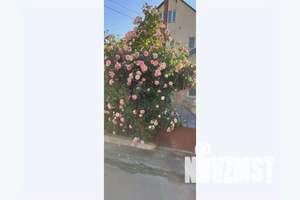 Дом 25м², 2-этажный, посуточно, 
