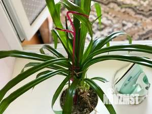 Дом 44м², 2-этажный, посуточно, 