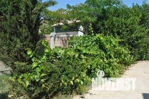 Дом 30м², 2-этажный, посуточно, 