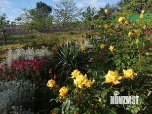 Дом 122м&sup2;, 2-этажный, на длительный срок, 