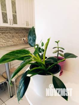 Дом 85м², 1-этажный, на длительный срок, 