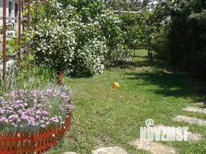 Дом 16м², 2-этажный, посуточно, 