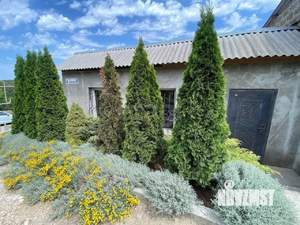 Дом 224м², 1-этажный, участок 8 сот.  