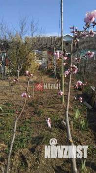 Дача 35м², 1-этажный, участок 6 сот.  