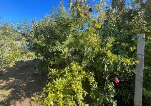 Дом 74м², 2-этажный, участок 9 сот.  