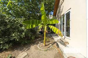 Дом 57м², 1-этажный, участок 3 сот.  