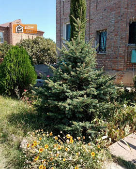 Дом 164м², 2-этажный, участок 5 сот.  