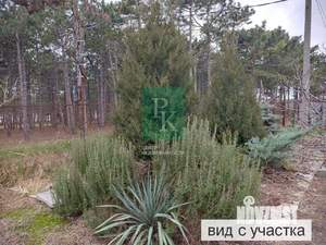 Дом 39м², 1-этажный, участок 5 сот.  