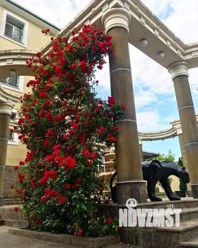 Дом 1000м², 2-этажный, участок 30 сот.  