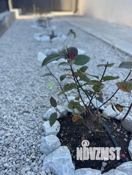 Дом 162м&sup2;, 2-этажный, участок 4 сот.  