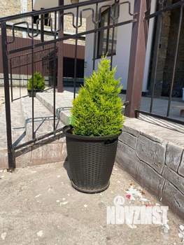 Дом 255м&sup2;, 2-этажный, участок 4 сот.  