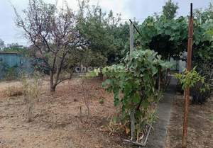 Дача 43м², 2-этажный, участок 4 сот.  