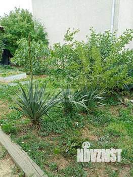 Дом 36м², 2-этажный, участок 4 сот.  