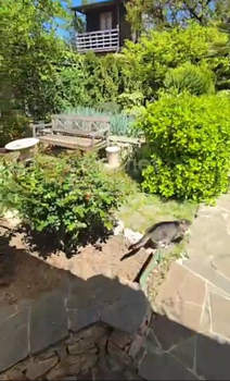 Дача 92м&sup2;, 3-этажный, участок 3 сот.  