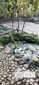 Дом 103м², 1-этажный, участок 9 сот.  