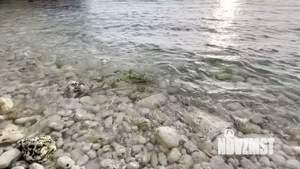 Дом 180м², 2-этажный, участок 4 сот.  