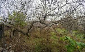 Дом 64м², 1-этажный, участок 13 сот.  