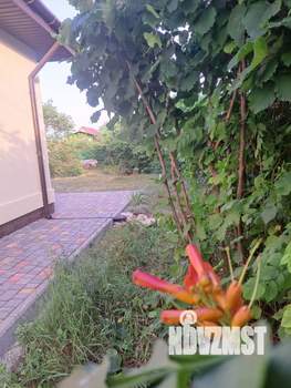 Дом 115м&sup2;, 1-этажный, участок 8 сот.  