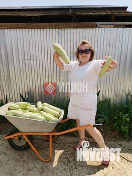 Дом 60м², 1-этажный, участок 4 сот.  