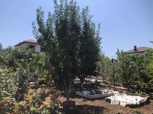 Коттедж 180м², 2-этажный, участок 9 сот.  