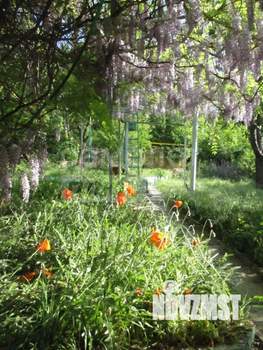 Дом 40м², 1-этажный, участок 10 сот.  