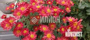 Дом 120м&sup2;, 2-этажный, участок 8 сот.  