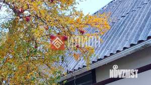 Дом 56м², 1-этажный, участок 417 сот.  