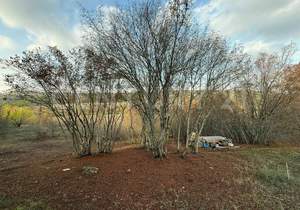 Дом 70м², 1-этажный, участок 5 сот.  