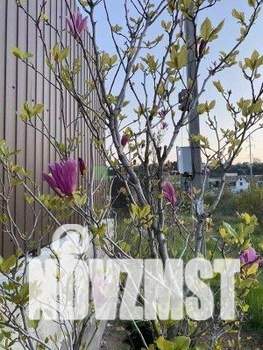 Дом 255м&sup2;, 2-этажный, участок 4 сот.  