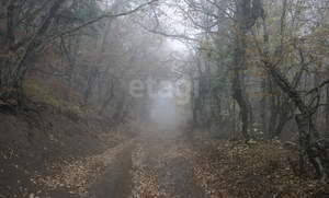 Дом 48м², 1-этажный, участок 7 сот.  