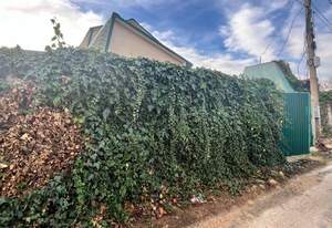 Дача 20м², 2-этажный, участок 4 сот.  