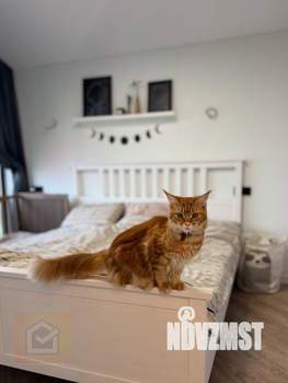 Дом 87м², 1-этажный, участок 6 сот.  