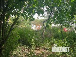 Дача 22м², 1-этажный, участок 4 сот.  